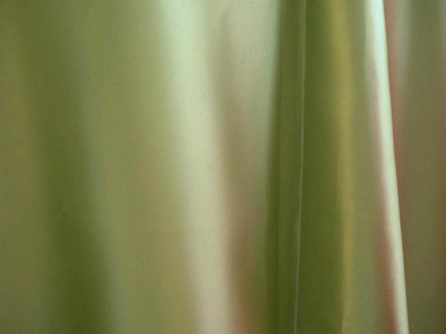 Rental store for FERN SATIN W COTTON BACK NAPKIN in Petoskey MI