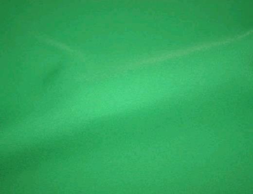 Rental store for KELLY GREEN NAPKIN in Petoskey MI