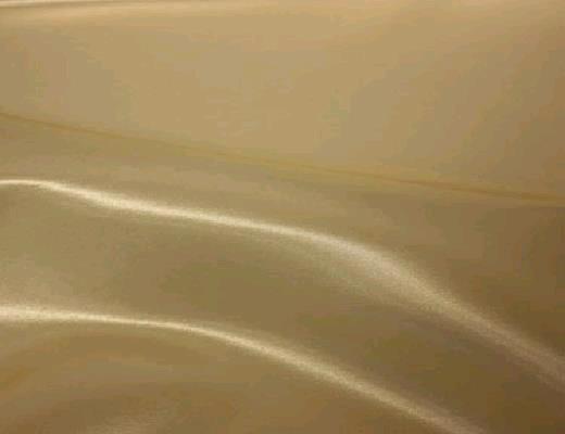 Rental store for GOLD SATIN SASH in Petoskey MI