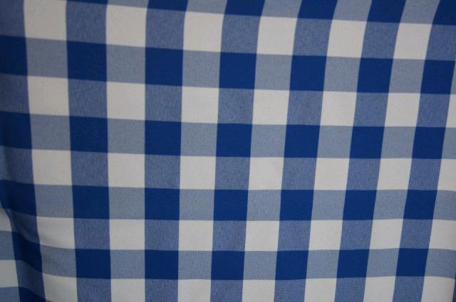 Rental store for BLUE   WHITE 1  CHECK NAPKIN in Petoskey MI