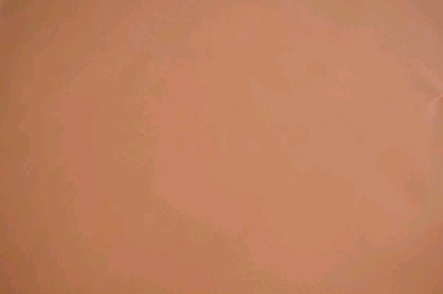 Rental store for PEACH NAPKIN in Petoskey MI