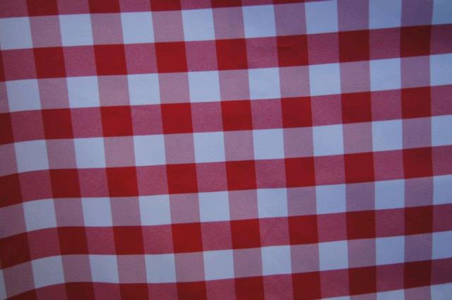 Rental store for RED   WHITE 1  CHECK 132  ROUND in Petoskey MI