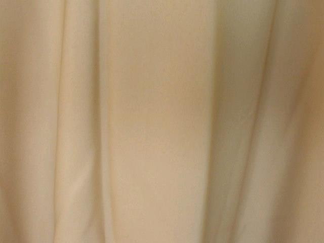 Rental store for CAMEL TABLEDRAPE in Petoskey MI