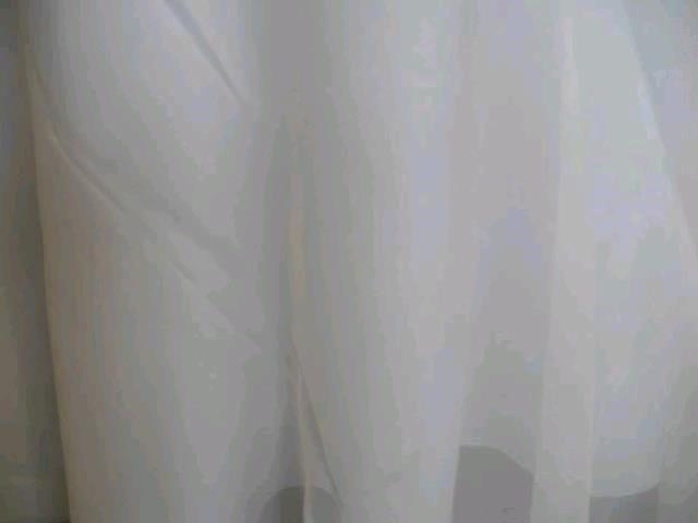 Rental store for IVORY SHEER 120  ROUND in Petoskey MI