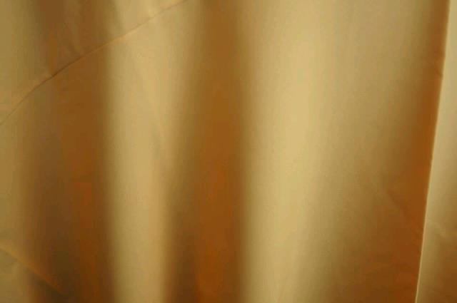Rental store for GOLD NAPKIN in Petoskey MI