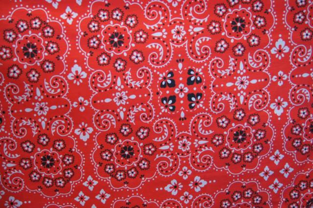 Rental store for RED BANDANA NAPKIN in Petoskey MI