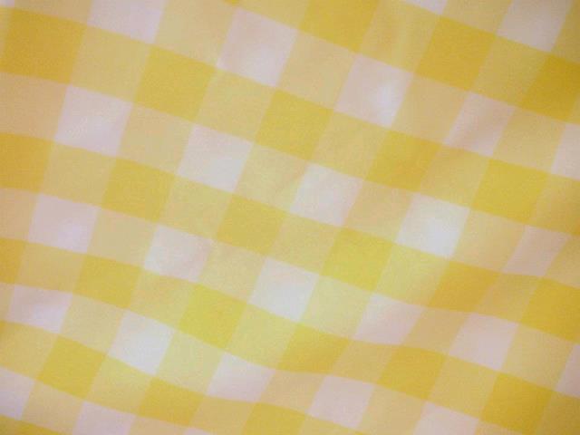 Rental store for YELLOW   WHITE 1  CHECK MEDIUM SQUARE in Petoskey MI