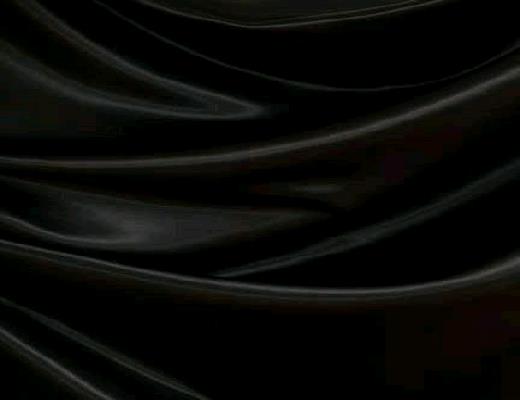 Rental store for BLACK SATIN LINEN in Petoskey MI