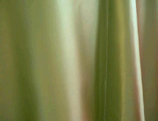 Rental store for FERN SATIN LINEN in Petoskey MI