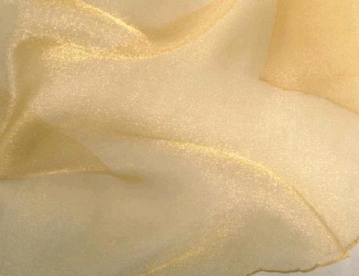 Rental store for GOLD ORGANZA LINEN in Petoskey MI