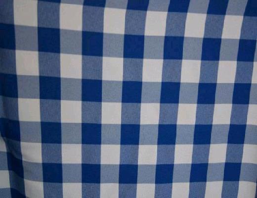Rental store for BLUE WHITE 1 CHECK LINEN in Petoskey MI