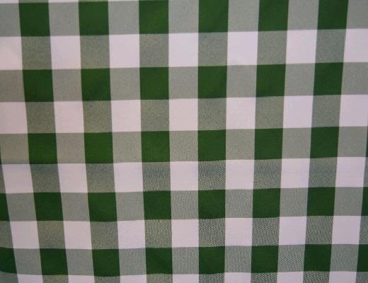 Rental store for GREEN WHITE 1 CHECK LINEN in Petoskey MI