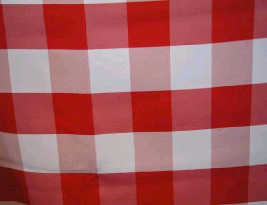Rental store for RED WHITE 2 CHECK LINEN in Petoskey MI