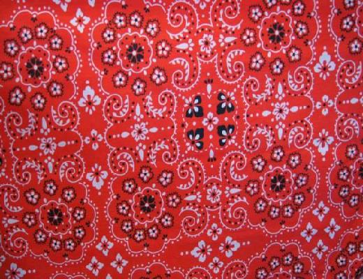 Rental store for RED BANDANA LINEN in Petoskey MI
