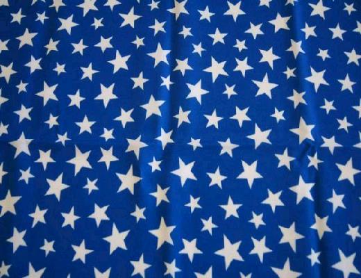 Rental store for BLUE WITH WHITE STARS LINEN in Petoskey MI