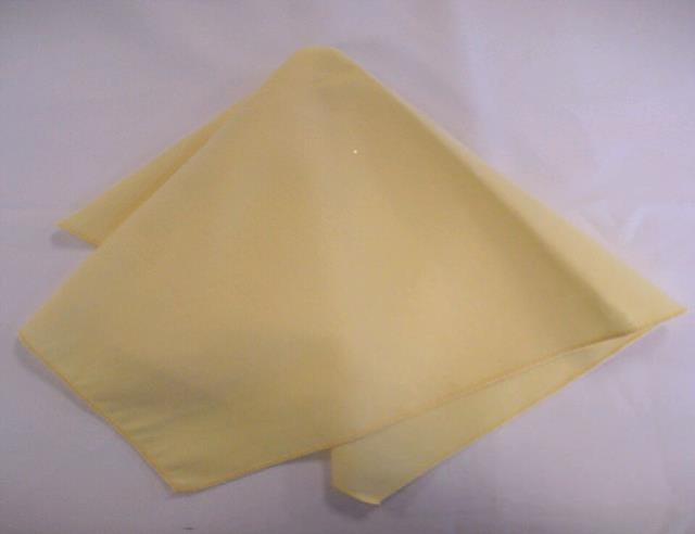 Rental store for BUTTER YELLOW CLASSIC LINEN in Petoskey MI