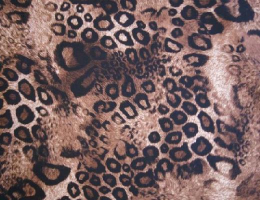 Rental store for GOLD LEOPARD PATTERN LINEN in Petoskey MI
