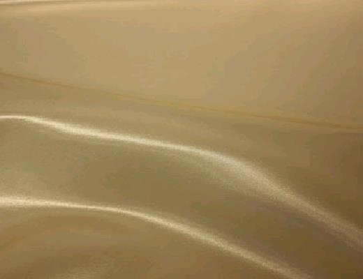 Where to find GOLD SATIN MEDIUM SQUARE in Petoskey