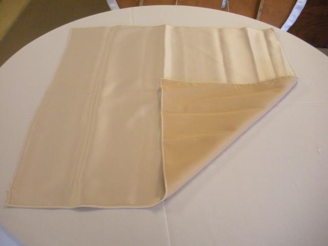 Rental store for CAMEL SATIN W COTTON BACK NAPKIN in Petoskey MI