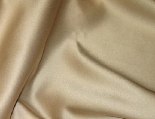 Rental store for CAMEL SATIN LINEN in Petoskey MI
