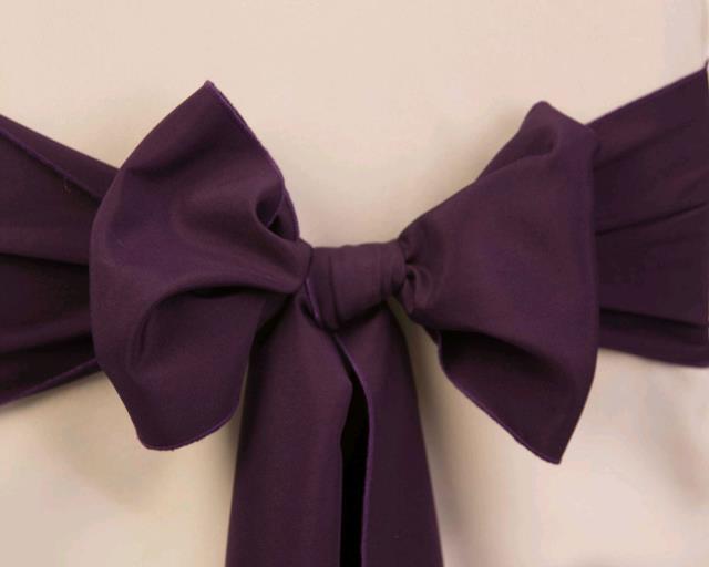 Where to find AUBERGINE SASH in Petoskey