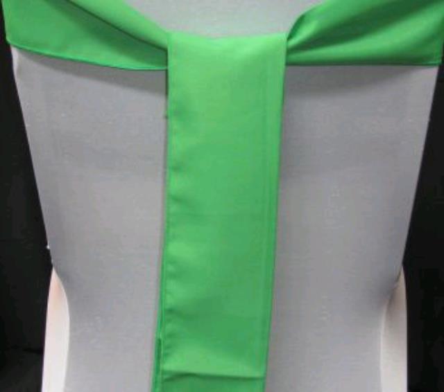 Where to find KELLY GREEN SASH in Petoskey