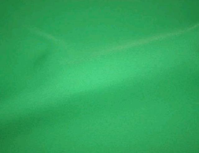 Where to find KELLY GREEN SASH in Petoskey