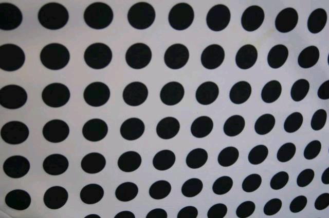Rental store for WHITE W BLACK POLKA DOT NAPKIN in Petoskey MI