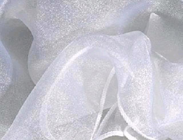 Rental store for WHITE ORGANZA LINEN in Petoskey MI