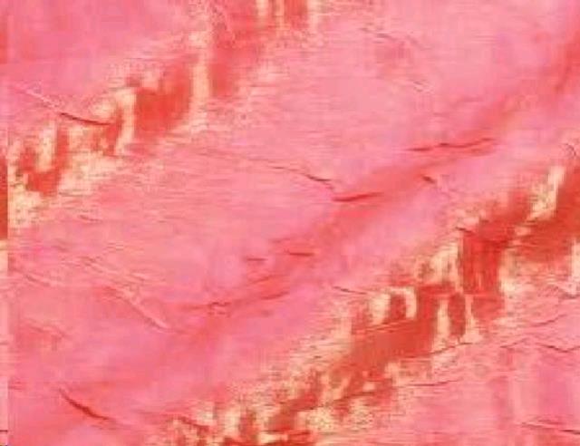 Where to find WATERMELON CRUSH SASH in Petoskey