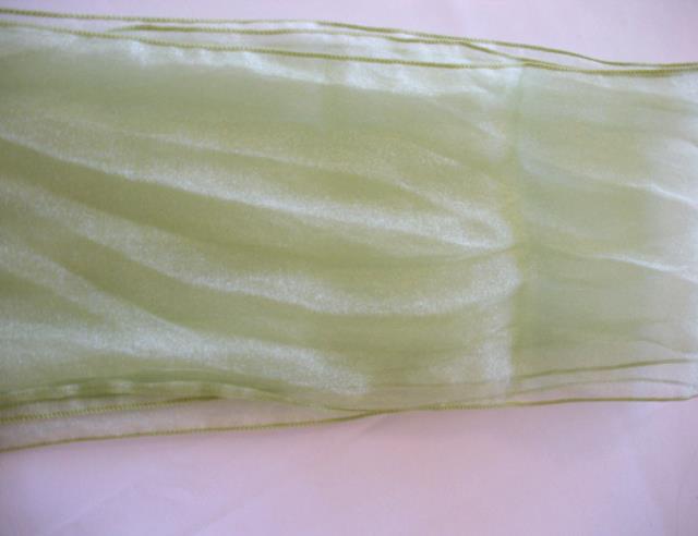 Rental store for PISTACHIO GREEN ORGANZA LINEN in Petoskey MI