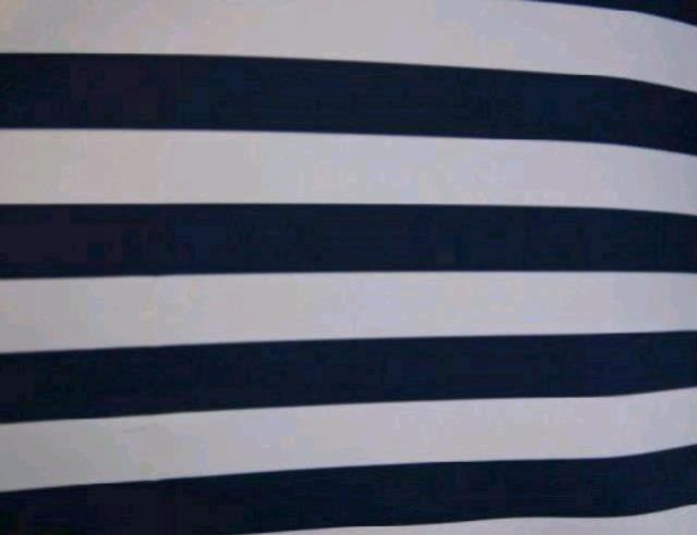 Rental store for NAVY   WHITE 1  STRIPE NAPKIN in Petoskey MI