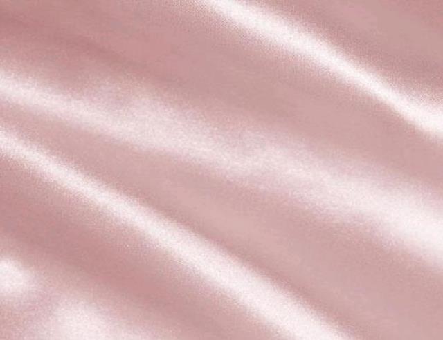 Rental store for LIGHT PINK SATIN TABLE RUNNER in Petoskey MI