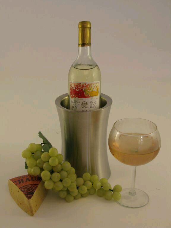Rental store for WINE BOTTLE COOLER in Petoskey MI